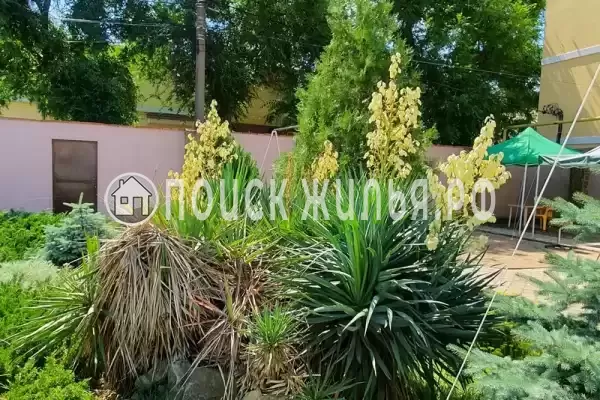 «Морская звезда», Феодосия