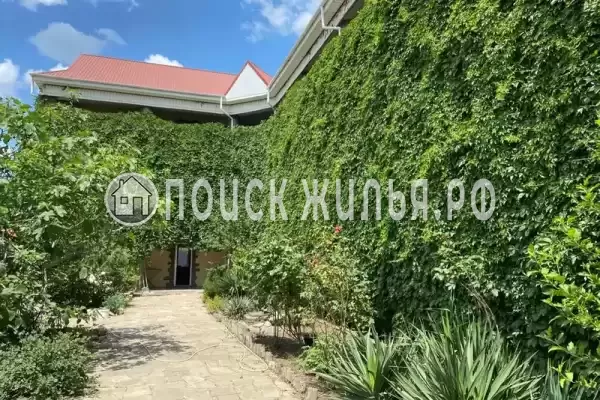 «Виноградная лоза», Судак