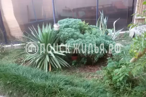 Гостевой дом «Цитрон», Гагра Гостевой дом «Цитрон», Гагра