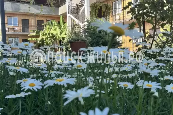 Гостевой дом «Шале у моря», Республика Абхазия, Цандрипш, Песочная, д.33