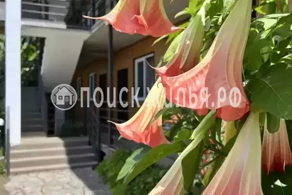 Гостевой дом «Шале у моря», Цандрипш