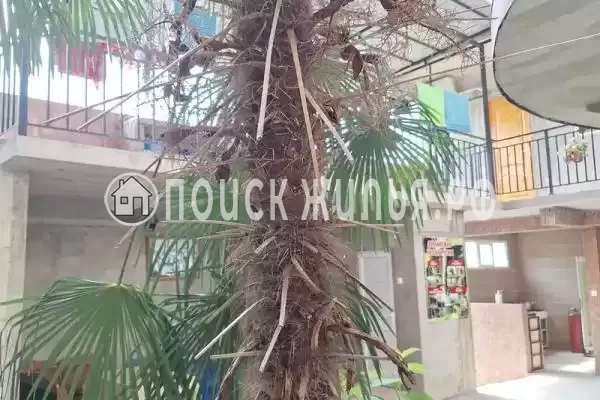 «Рассвет», Лоо