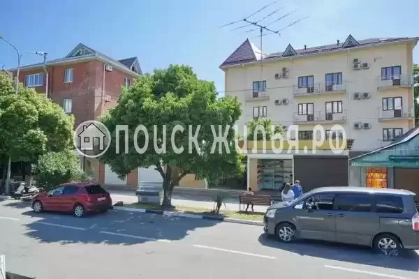 «Цитрус», Лазаревское «Цитрус», Лазаревское