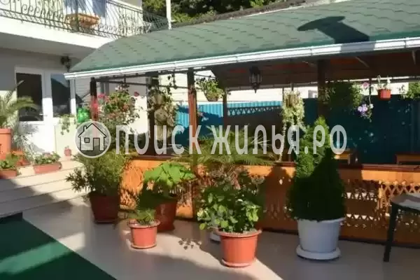 «Парус», Лазаревское