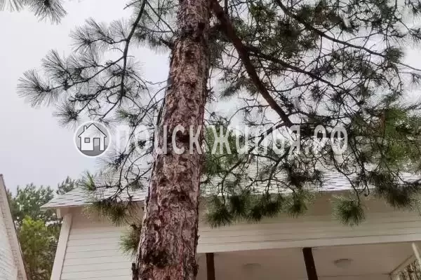 «Арбат-Абрау», Абрау-Дюрсо