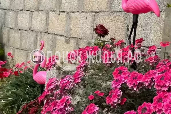 Гостевой дом «У Марины», Цандрипш Гостевой дом «У Марины», Цандрипш