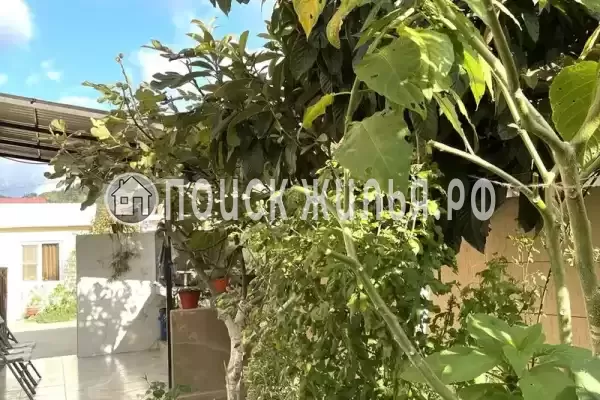 «У дяди Вани», Лоо «У дяди Вани», Лоо