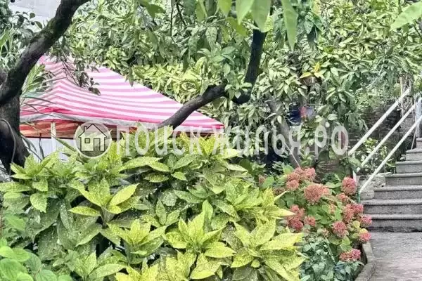 Гостевой дом «Юкка», Гагра Гостевой дом «Юкка», Гагра