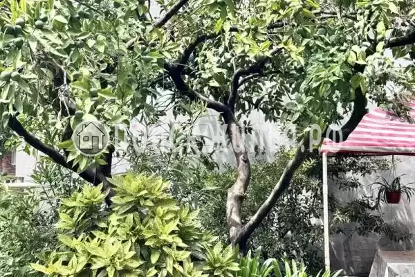 Гостевой дом «Юкка», Гагра Гостевой дом «Юкка», Гагра