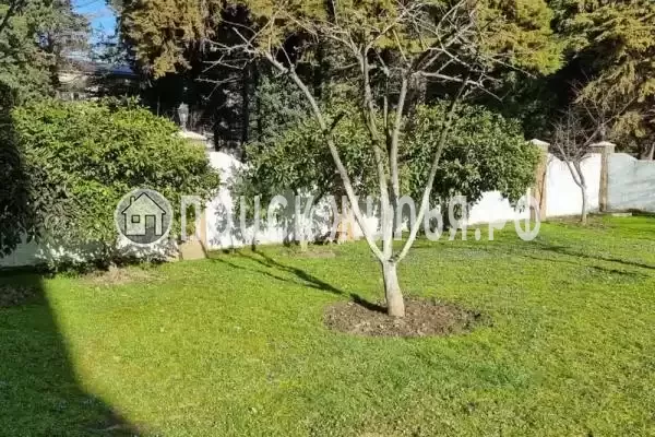 Гостевой дом «Аура», Пицунда Гостевой дом «Аура», Пицунда