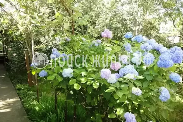 «У Марины», Адлер «У Марины», Адлер