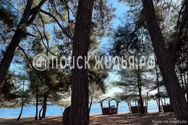 База отдыха «Пекан», Лдзаа