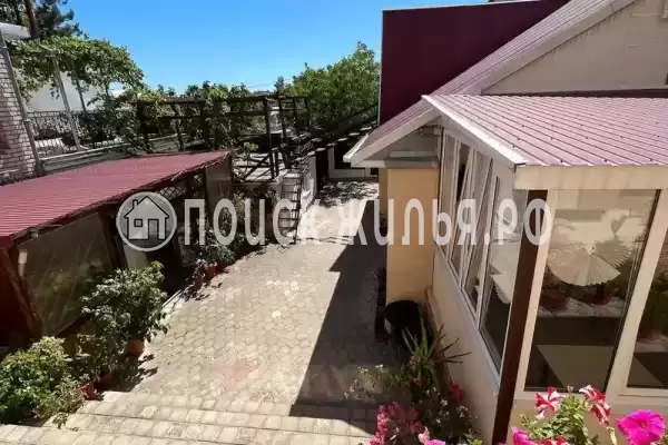 «Золотая лоза»