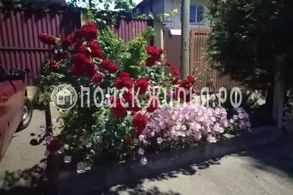 «Морская ласточка», Сириус