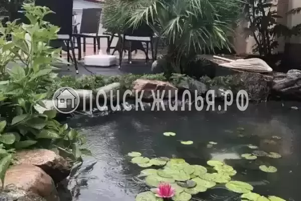 «Солнце», Дагомыс