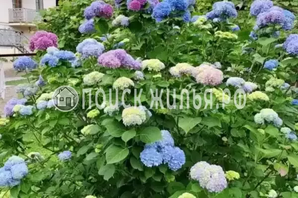 Гостевой дом «Арид», Бзыпта