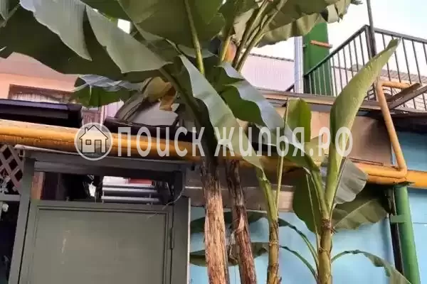 Чкалова, д.30, Адлер Чкалова, д.30, Адлер