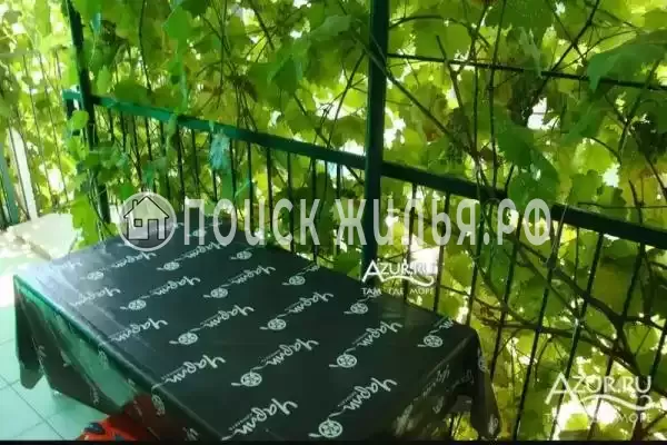 Частный сектор «Коттедж Татьяна», Ольгинка