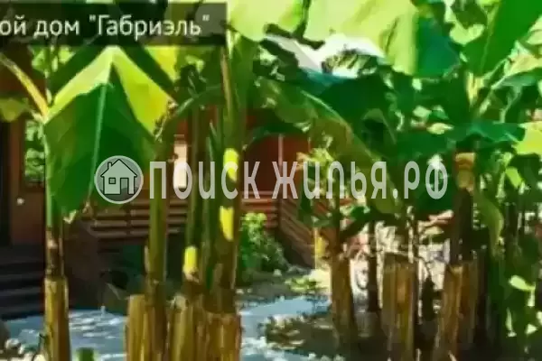 Гостевой дом «Габриэль», Лдзаа Гостевой дом «Габриэль», Лдзаа