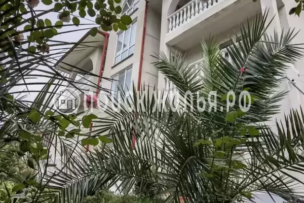 «Терраса», Адлер