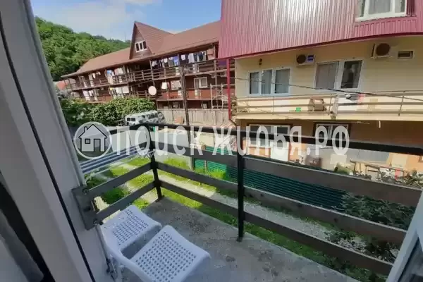 «Два дельфина», Солоники