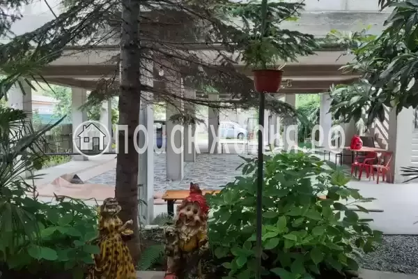 «Два дельфина», Солоники