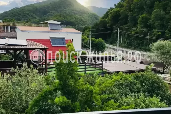 «Два дельфина», Солоники