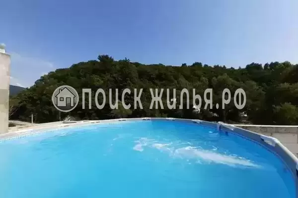 «Два дельфина», Солоники