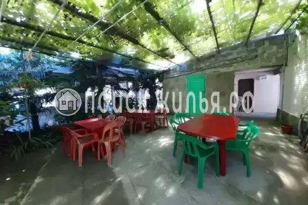 «Два дельфина», Солоники