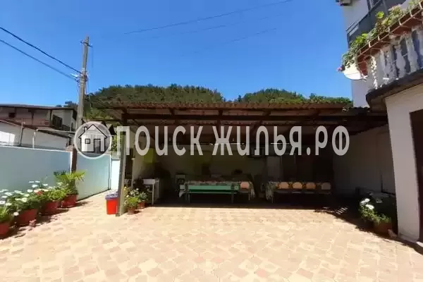 «Два дельфина», Солоники