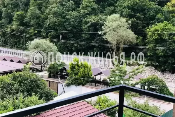 «Два дельфина», Солоники