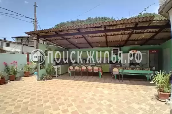 «Два дельфина», Солоники