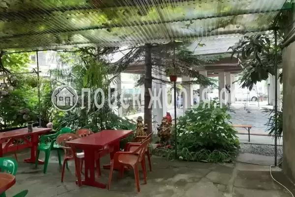 «Два дельфина», Солоники