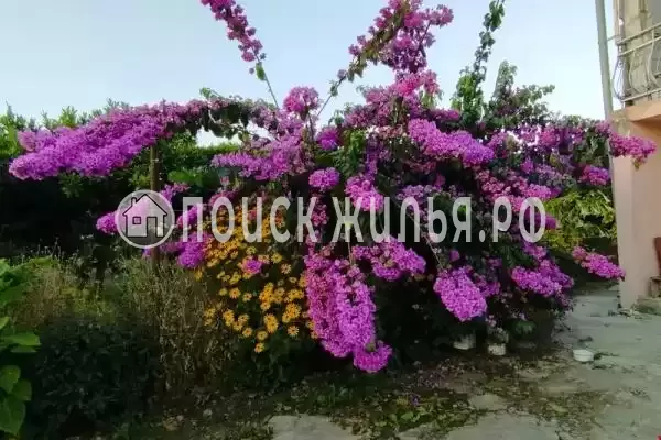 Гостевой дом «Руслан», Гумиста Гостевой дом «Руслан», Гумиста