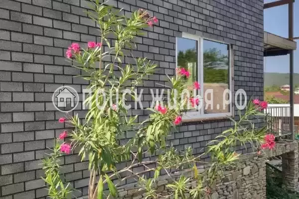 Частный сектор «Лето в Архипке»