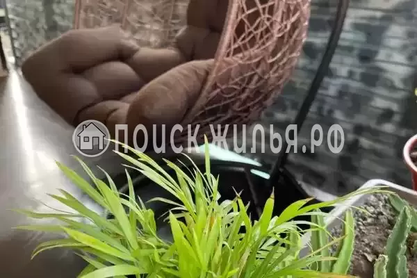 «На Ленина», Адлер «На Ленина», Адлер