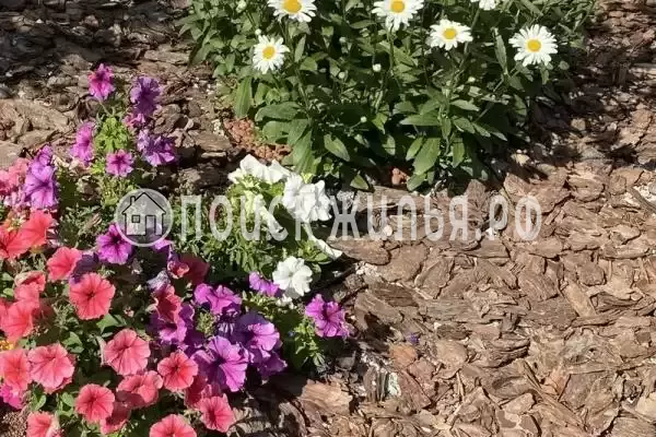 «Уют», Дивноморское «Уют», Дивноморское