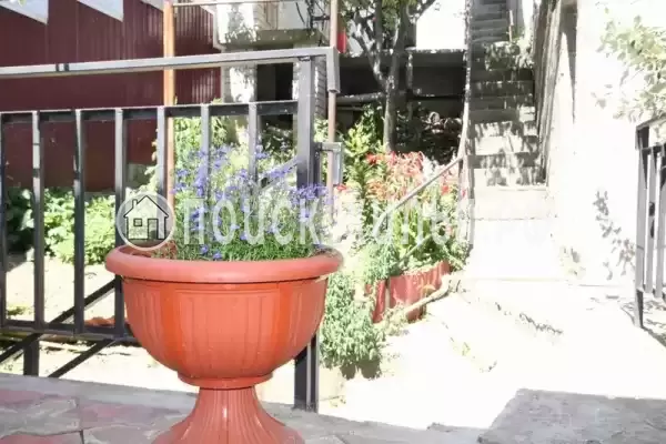 «Максим», Лазаревское