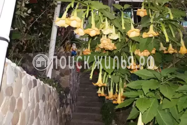 Частный сектор «Райский уголок», Лазаревское