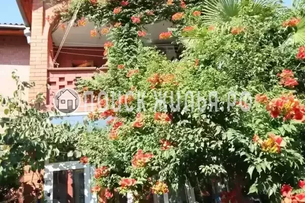 «У тети Вали», Лазаревское