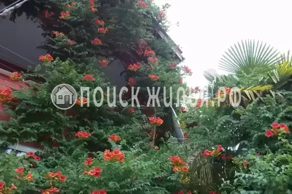 «У тети Вали», Лазаревское