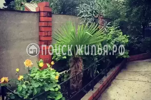 «Вероника», Лазаревское