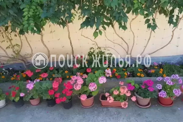 «Карина», Лоо