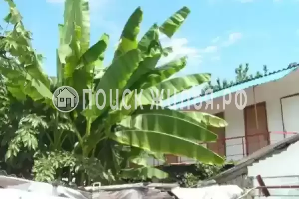 «Лазурит», Краснодарский край, Сочи, Головинка, , д.улТорговая106А