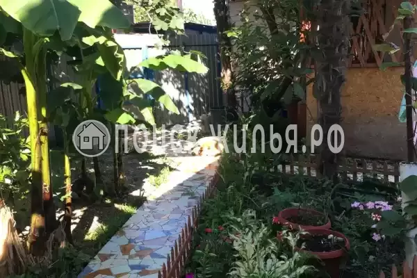 «Лазурит», Головинка