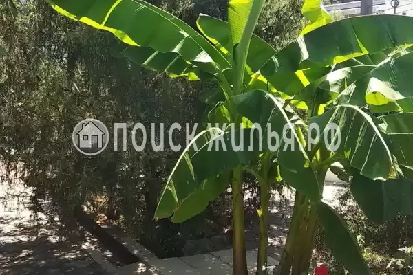 Гостевой дом «Ростовский дворик», Ольгинка