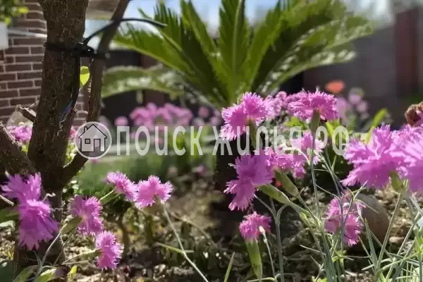 Гостевой дом «Маринели», Гагра Гостевой дом «Маринели», Гагра