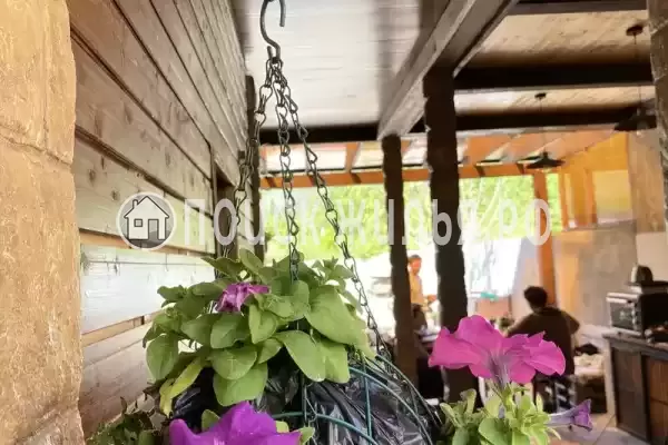 Гостевой дом «Маринели», Гагра Гостевой дом «Маринели», Гагра