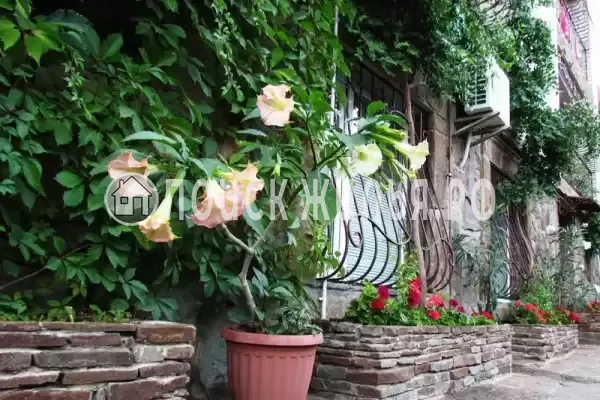 Гостевой дом «Navigator», Судак Гостевой дом «Navigator», Судак