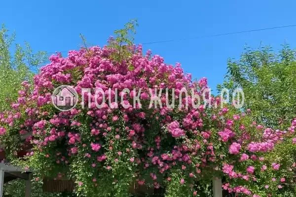 Гостевой дом, пр-кт Аиааира, д.290, Сухум